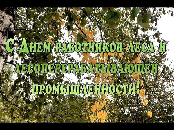 18 Сентября день работников леса