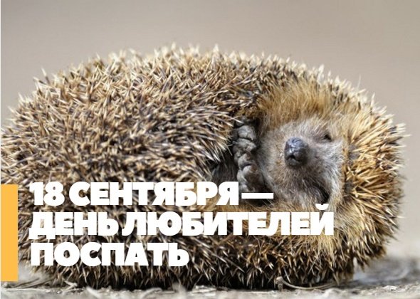 18 Сентября день любителей поспать