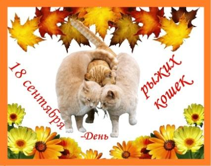 День благодарности рыжему коту 1 сентября