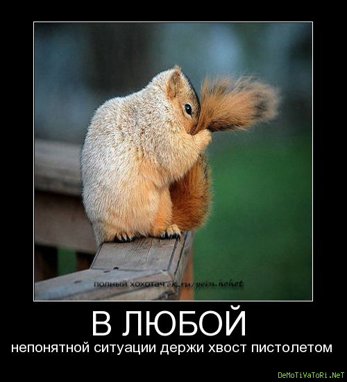 В любой ситуации держи хвост пистолетом