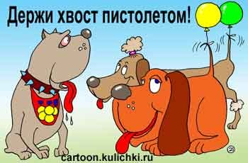 Держи хвост