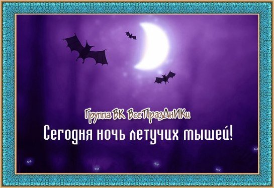 День летучих мышей