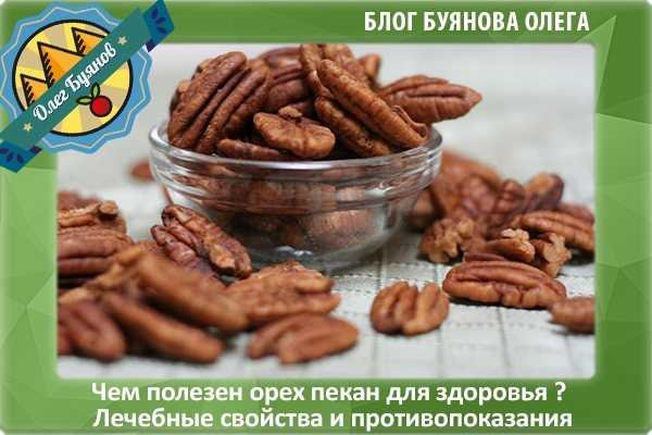 Пекан орех полезные свойства и противопоказания