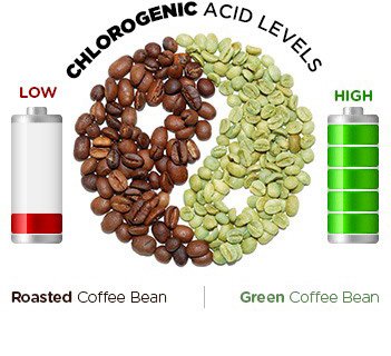 Плакаты День зеленого кофе – Италия (56 фото)