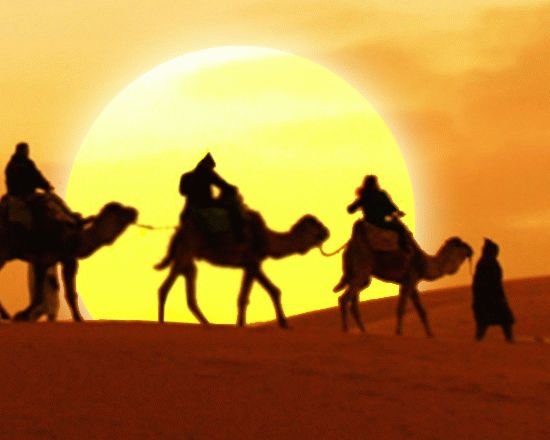 Международный день караванщика (International Day of Caravan)