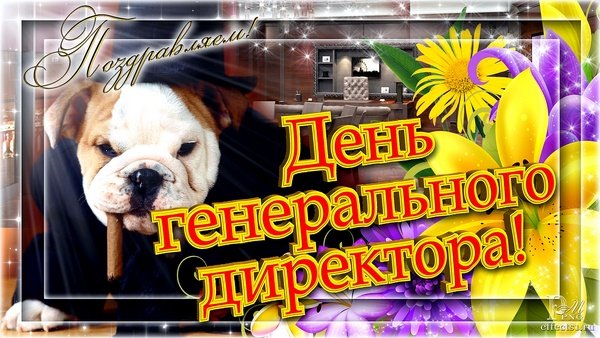 Поздравляю с днем генерального директора