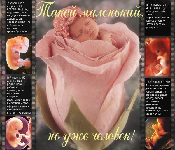 Брошюра в защиту нерожденных детей