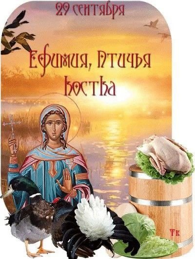 Ефимия Птичья Костка 29 сентября