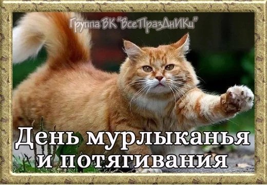 День мурлыканья и потягивания открытки