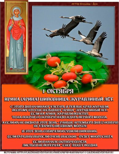 Арина Шиповница народный календарь