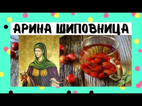 Плакаты Арина Шиповница (51 фото)