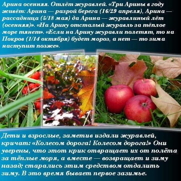 Арина Шиповница праздник