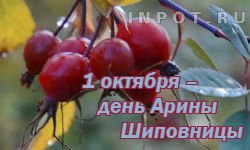 1 Октября Ирина Арина Шиповница