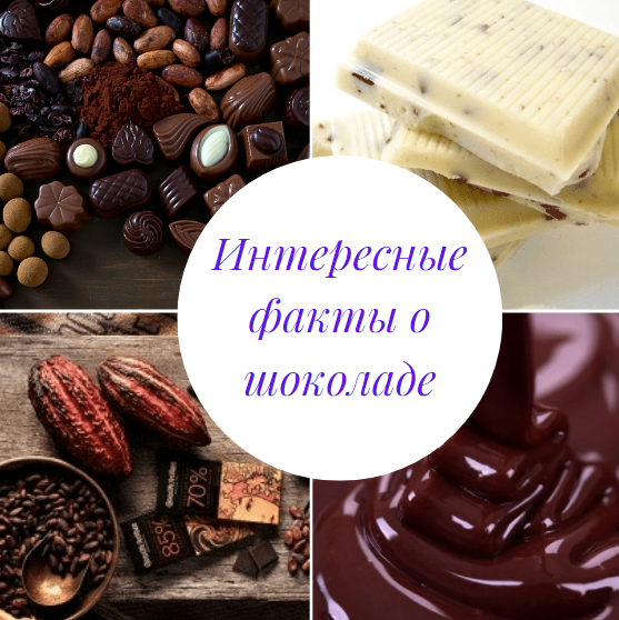 Царство шоколада