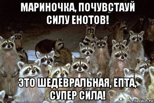 Невеста моя енот Мем