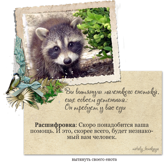 Поздравление от енота