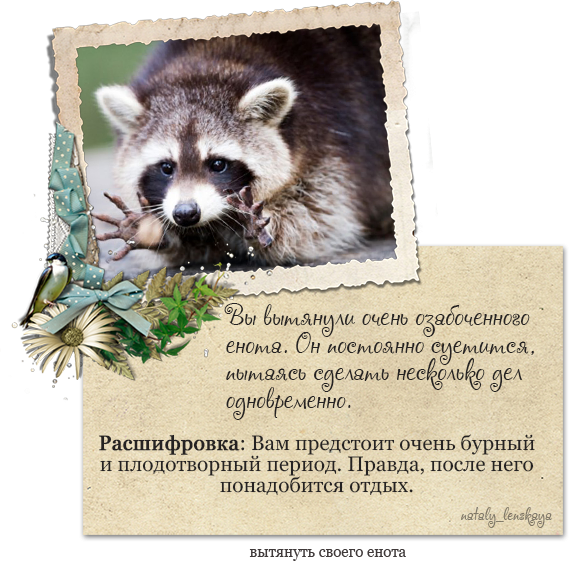 Поздравления с днём рождения с енотом