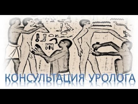 Известный Египетский уролог