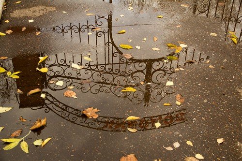 Парк осенний следы