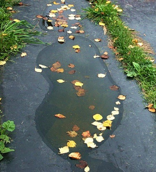 Следы осени