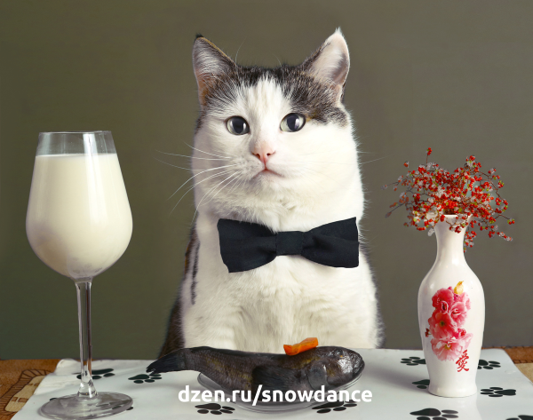 Плакаты Международный день войлока (49 фото)