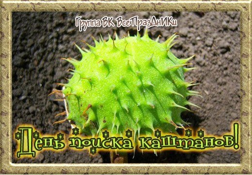 День поиска каштанов открытки