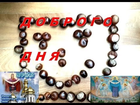 День поиска каштанов