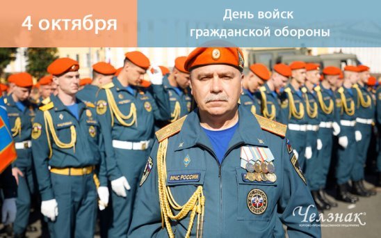 Войска го МЧС РФ