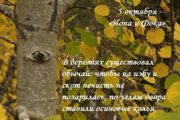 Плакаты Иона и Фока (Листопадная) (51 фото)