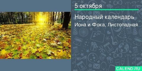 Иона и ФОКА (Листопадная)