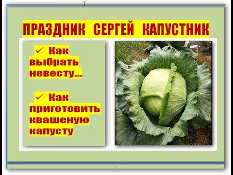 Открытка с днем Сергея капустника