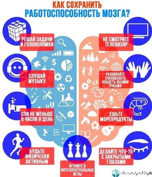 Работоспособность мозга