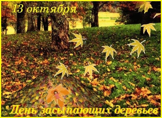 13 Октября день засыпания деревьев