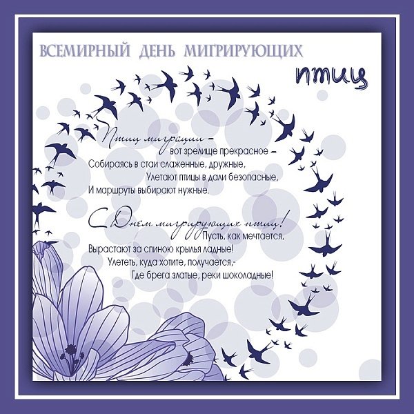 10 Мая день мигрирующих птиц