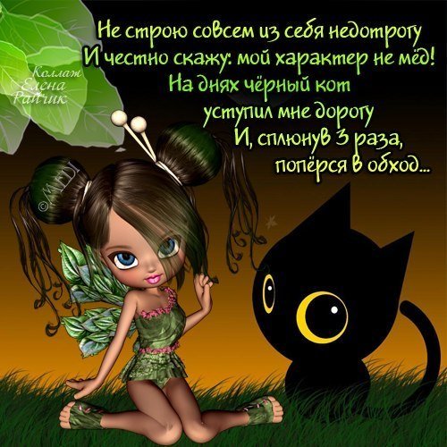 День недотрог картинки