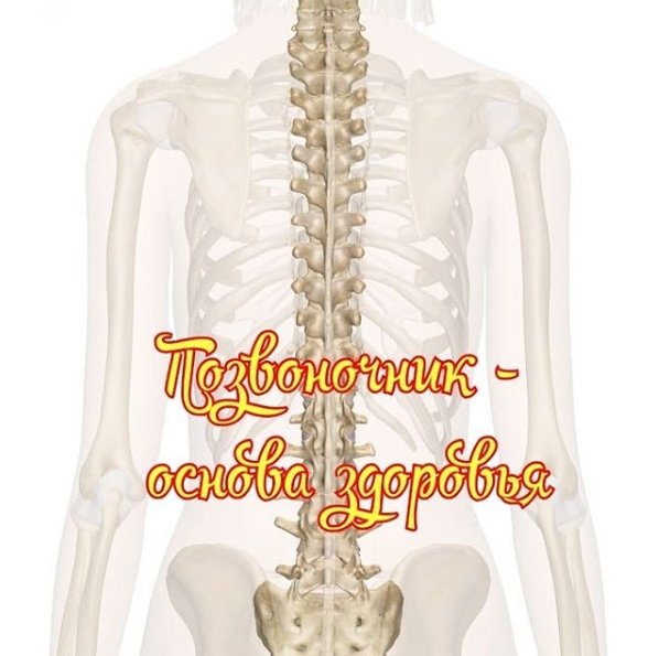 Всемирный день позвоночника