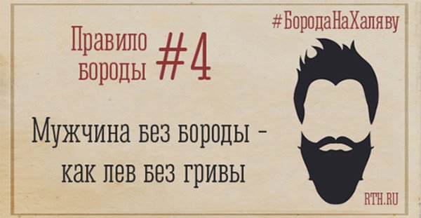 Правило бороды