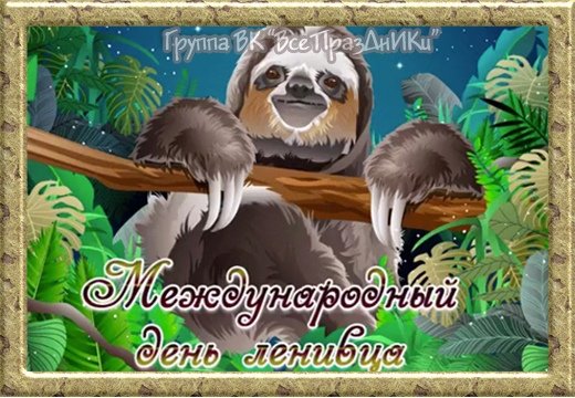 День ленивца 20 октября