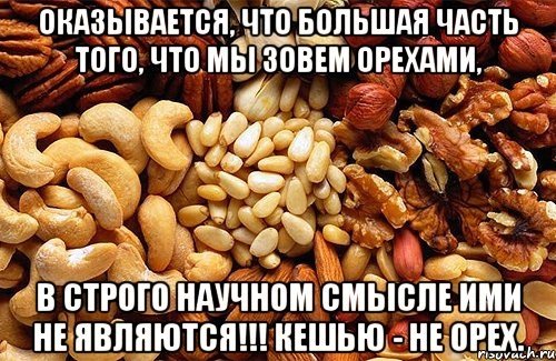 Мемы про орешки