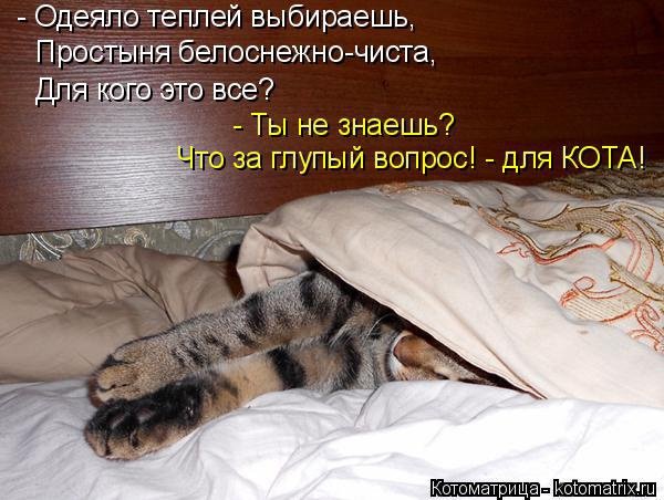 Под одеялом тепло