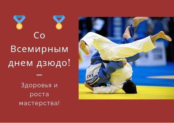 День дзюдо