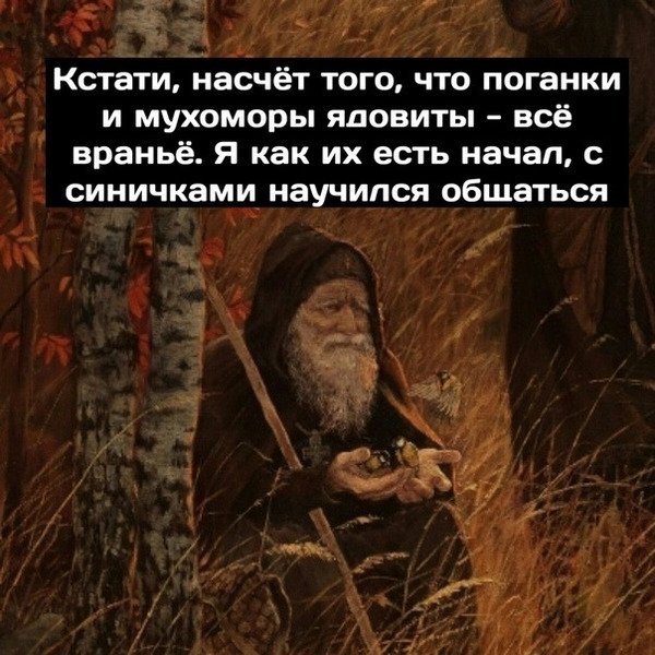 Отшельник цитаты