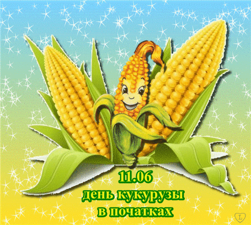 День кукурузы в початках 11 июня