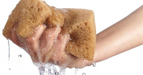 Плакаты День мокрых корок (43 фото)