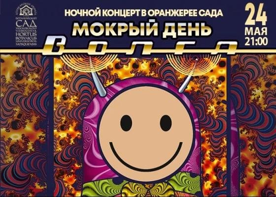 День мокрых корок 30 октября картинки