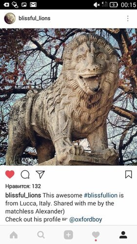 Плакаты День улыбающихся каменных львов (50 фото)