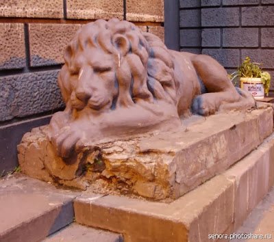 Львы Кронверкский 5