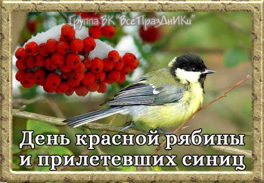 Красной рябины и прилетевших синиц