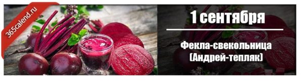 1 Сентября Фекла-Свекольница (Андрей-тепляк)
