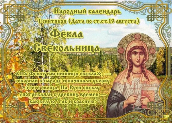 Народный календарь 1 сентября Фекла Свекольница